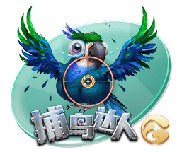 xingkong.app正式版